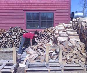 our pile of wood outside for the wood fired oven