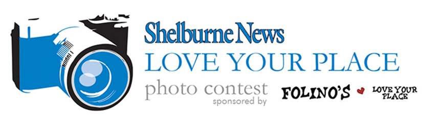Love your photo contest image